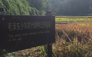 微信图片_201809081754132.jpg