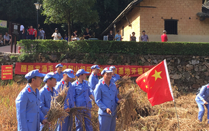 微信图片_201809081754134.jpg